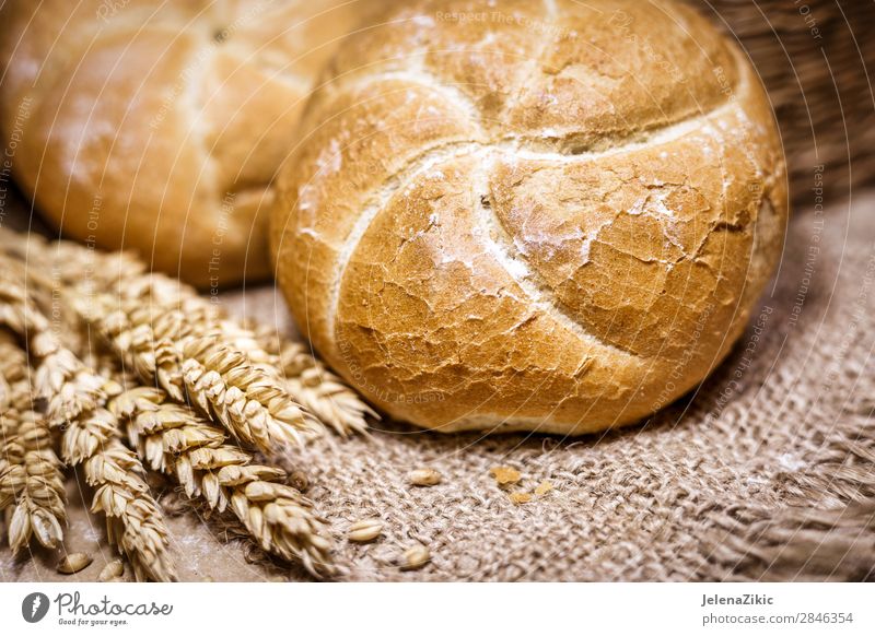 Frisches Brot und Weizen auf rustikalem Hintergrund Lebensmittel Teigwaren Backwaren Ernährung Essen Frühstück Mittagessen Abendessen Büffet Brunch Bioprodukte