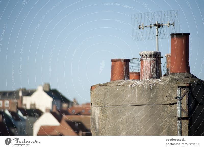 Schornsteinaufsätze aus Ton Haus Antenne Himmel Architektur Dach Vogel blau rot Varieté Dachterrasse Kot Entlüftung Kacke Dachlandschaft Vogelkacke