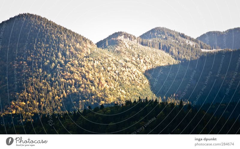 Hinter den Bergen Umwelt Natur Landschaft Herbst Schönes Wetter Wald Hügel Berge u. Gebirge Rumänien Siebenbürgen Abenteuer ruhig Ferne Nadelwald Sonne Farbfoto