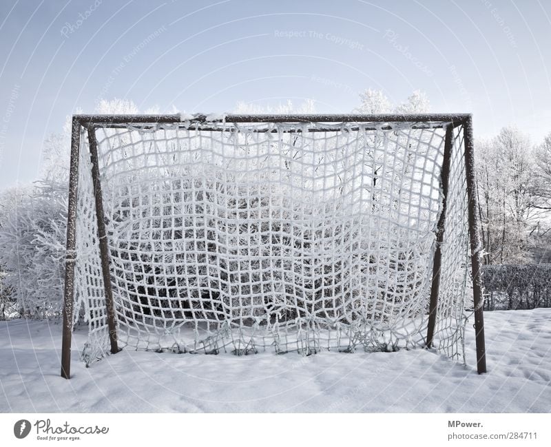 tor Winter Handball Eis gefroren Ast Baum blau Feld Frost Fußball Himmel Horizont kalt Menschenleer Netz Lichterscheinung Schnee Sonne Sonnenaufgang Beleuchtung