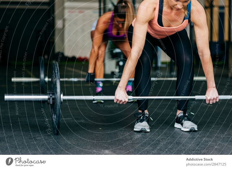 Frauen, die Gewichte heben, trainieren gemeinsam. Sporthalle Training Zusammensein Konzentration Tatkraft sportlich Fitness Kraft muskulös ausarbeitend