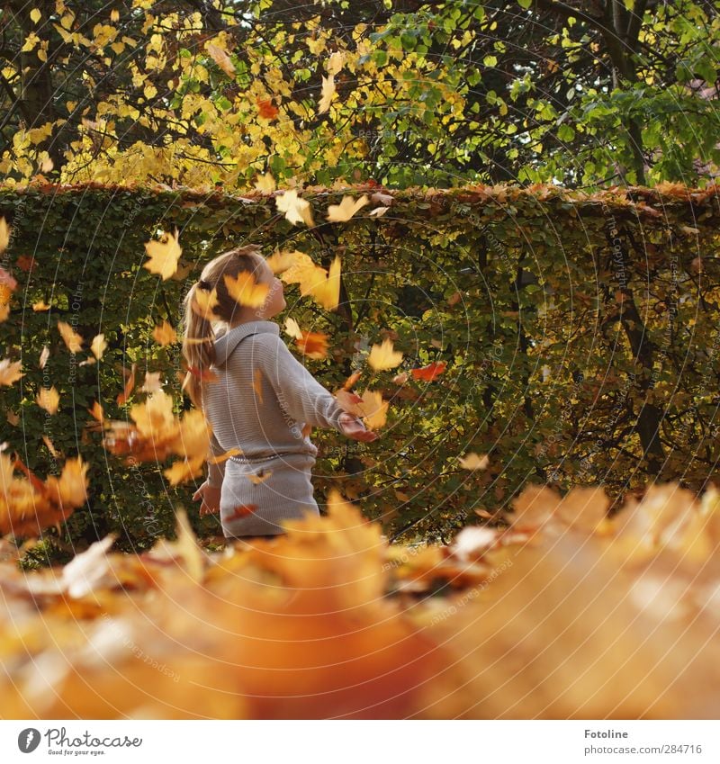 So viel Spaß macht der HERBST!!! Mensch feminin Kind Mädchen Kindheit Körper Haut Kopf Haare & Frisuren Arme Umwelt Natur Pflanze Herbst Schönes Wetter