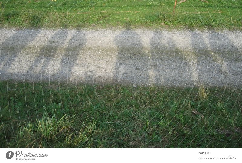 in the shadow Wiese Gras Menschengruppe Schatten schattenmenschen Wege & Pfade Stein