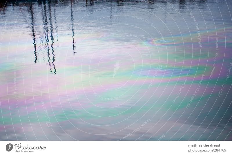 UNSERE UMWELT! Umwelt Natur Wasser Wellen Meer Hafenstadt dreckig dunkel glänzend Umweltverschmutzung Umweltschutz Diesel Rohstoffe & Kraftstoffe Ölfilm