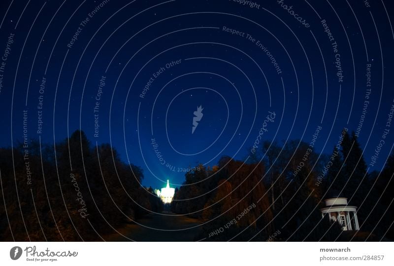 Ein Schein in der Nacht Landschaft Wolkenloser Himmel Nachthimmel Stern Baum Park Hügel Kassel Sehenswürdigkeit Wahrzeichen Herkules Gelassenheit ruhig Natur