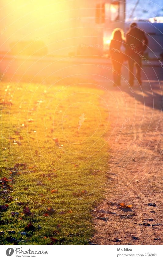 UT Köln | into the sun Frau Erwachsene Mann Paar 2 Mensch Umwelt Frühling Sommer Herbst Gras Park Fußgänger Wege & Pfade gehen Vertrauen Sympathie Freundschaft