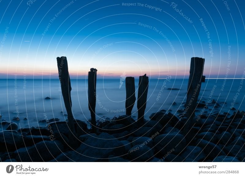 Morgendämmerung am Kap Landschaft Wasser Himmel Wolkenloser Himmel Stern Horizont Sonnenaufgang Sonnenuntergang Frühling Wellen Küste Strand Ostsee kalt blau