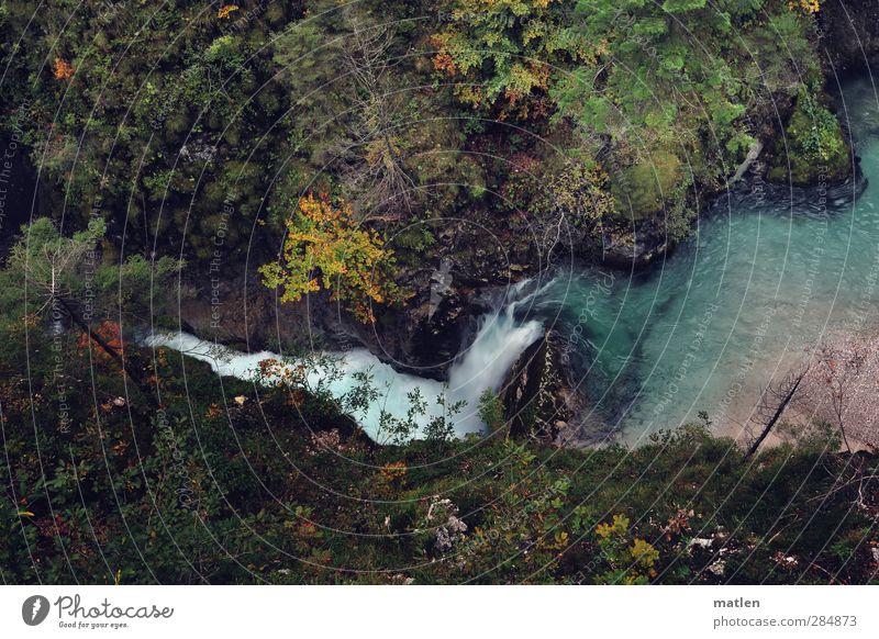 für Wilma Landschaft Pflanze Herbst Baum Gras Moos Felsen Berge u. Gebirge Schlucht Flussufer Bach Wasserfall blau braun grün fließen Farbfoto Außenaufnahme Tag