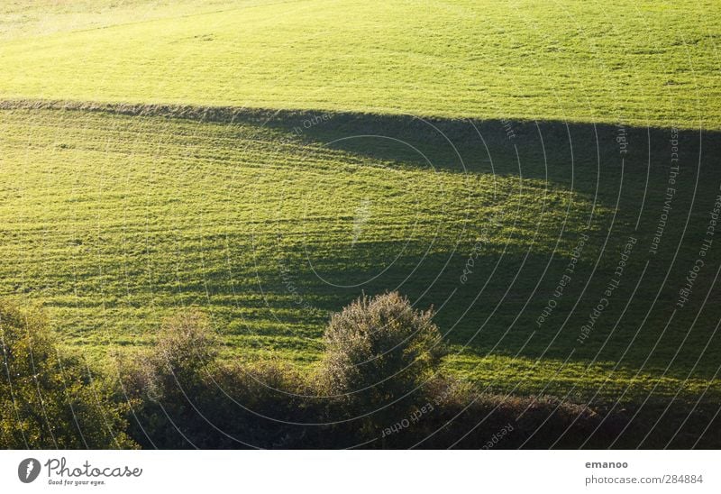 Feldlinien Ferien & Urlaub & Reisen wandern Natur Landschaft Pflanze Sommer Herbst Klima Wetter Gras Sträucher Wiese Hügel Berge u. Gebirge Wachstum natürlich