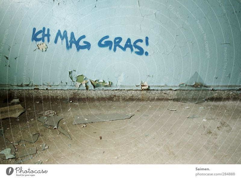 ich mag gras Haus Mauer Wand Sucht Gras Graffiti Ecke Strukturen & Formen dreckig alt verfallen Verfall mögen Farbstoff Bodenbelag Rauschmittel Rauchen