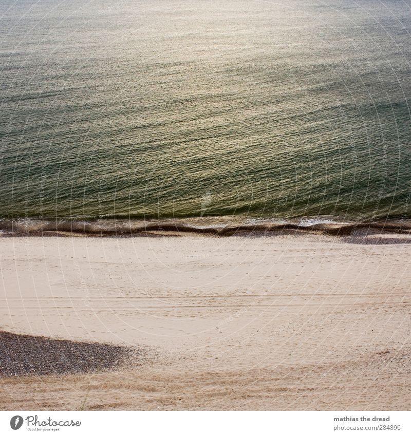 STRAND Umwelt Natur Sand Wasser Sonnenlicht Schönes Wetter Wellen Küste Strand Nordsee nass Brandung Stein Spuren Menschenleer ruhig Idylle Sonnenuntergang