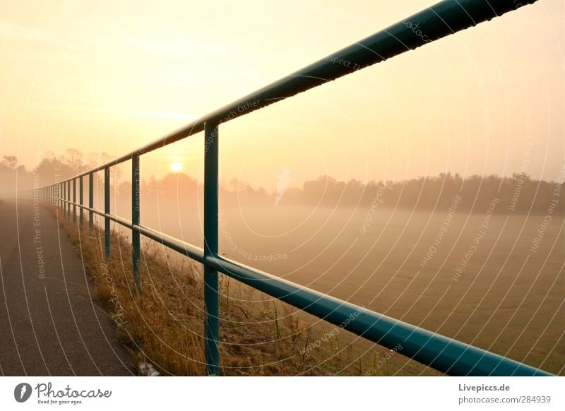 am Kanal Umwelt Natur Landschaft Himmel Wolkenloser Himmel Sonne Sonnenaufgang Sonnenuntergang Sonnenlicht Herbst Schönes Wetter Nebel Pflanze Baum Wildpflanze