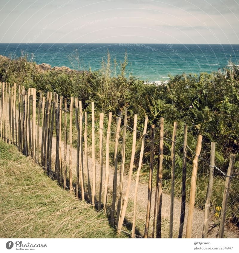 privatstrand Umwelt Natur Landschaft Urelemente Wasser Himmel Horizont Sommer Schönes Wetter Pflanze Gras Sträucher Wiese Wellen Küste Strand Meer Insel