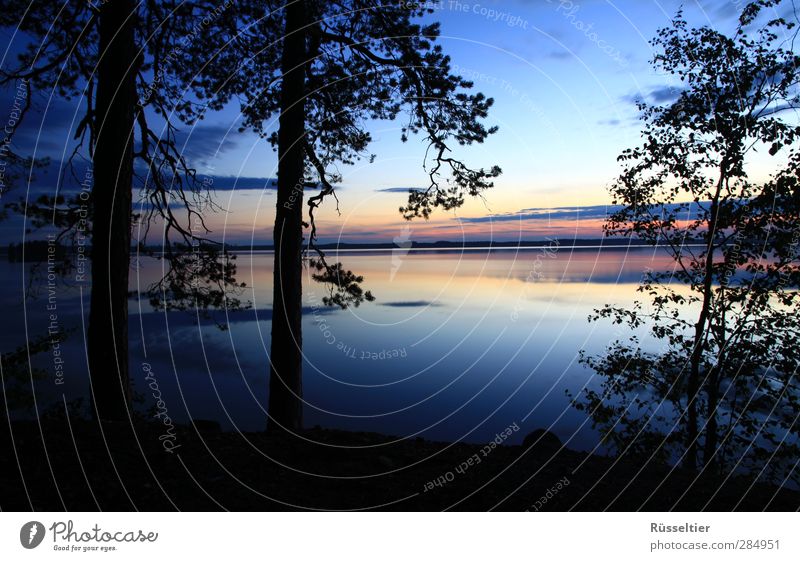 Paradise Ferien & Urlaub & Reisen Ferne Freiheit Sommer Seeufer blau gelb orange schwarz Fernweh Baum Silhouette Wasser Horizont Farbfoto mehrfarbig Abend