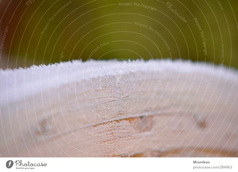 Holz mit Eis Umwelt Natur Sonnenaufgang Sonnenuntergang Herbst Winter Klima Schönes Wetter Frost Schnee Park Wald Brücke Eisblumen Eiskristall gefroren