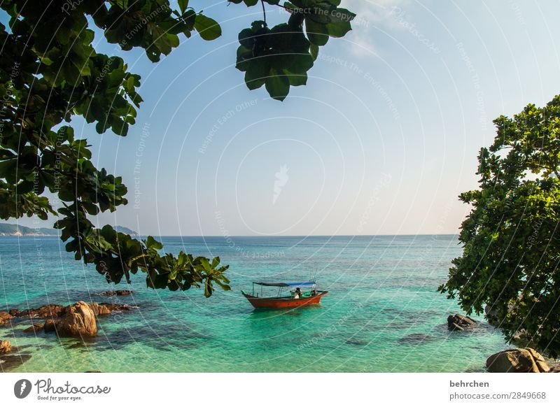 wenn die zeit still steht Ferien & Urlaub & Reisen Tourismus Ausflug Abenteuer Ferne Freiheit Landschaft Baum Blatt Urwald Wellen Küste Strand Bucht Meer Insel