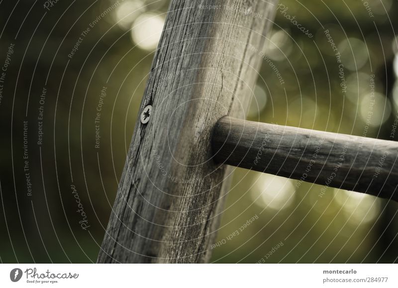 sitzt-passt-und wackelt nicht Leiter Schraube Strebe Holz Metall alt dreckig dünn authentisch einfach rund trist grau Farbfoto mehrfarbig Außenaufnahme