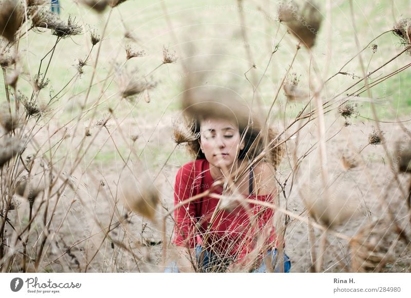 Auf dem Feld Junge Frau Jugendliche 1 Mensch 18-30 Jahre Erwachsene Natur Landschaft Herbst Wildpflanze Haare & Frisuren brünett langhaarig Locken Erholung