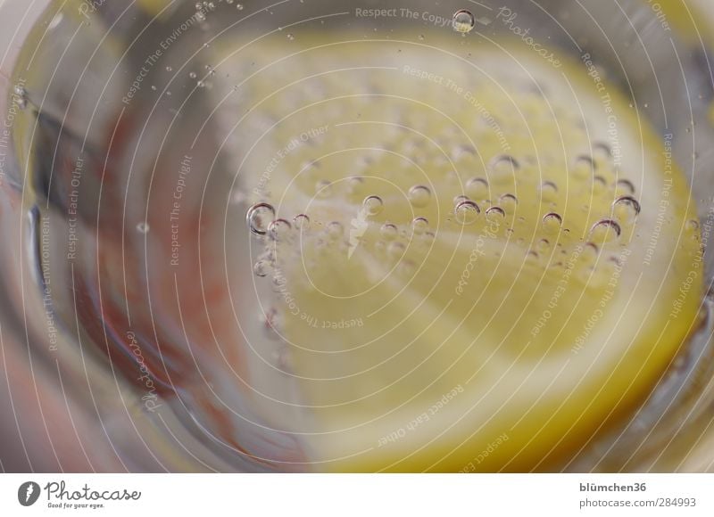 Kohlensäure-Makro-Analyse Lebensmittel Frucht Zitrone Zitronenscheibe Zitrusfrüchte Getränk trinken Erfrischungsgetränk Trinkwasser Limonade Glas Bewegung