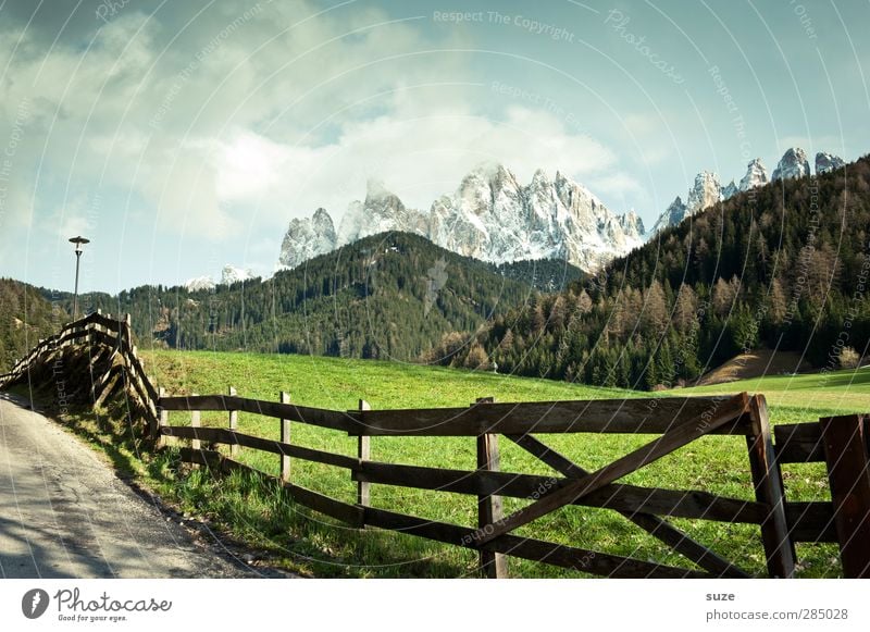 Auf dem Weg sein ... Sommer Berge u. Gebirge Umwelt Natur Landschaft Himmel Klima Schönes Wetter Wiese Wald Alpen Gipfel Schneebedeckte Gipfel Wege & Pfade