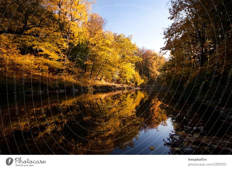 go_002 Erholung ruhig Umwelt Natur Wasser Herbst Schönes Wetter Wald Fluss Zufriedenheit Warmherzigkeit Freundschaft Treue Weisheit Hoffnung Idylle Farbfoto