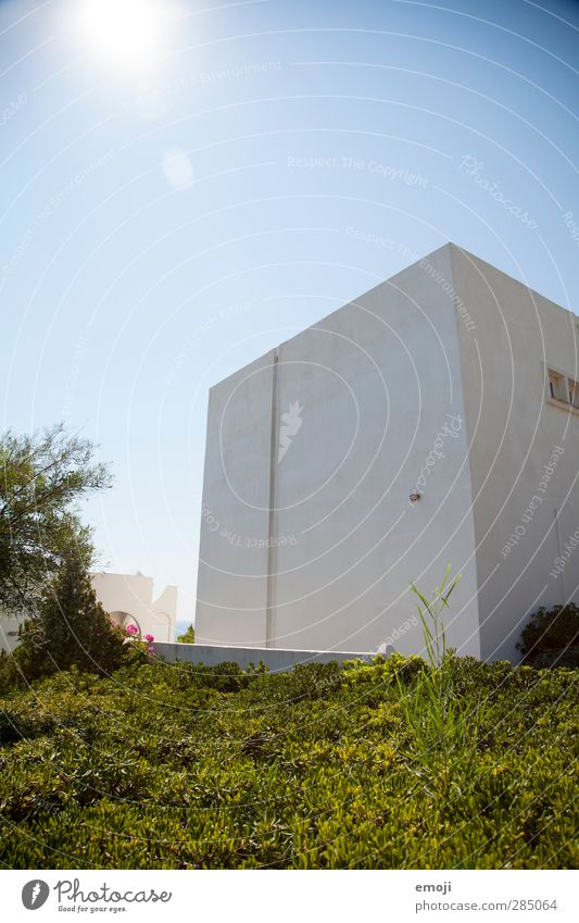 Rhodos Umwelt Natur Himmel Wolkenloser Himmel Schönes Wetter Wärme Mauer Wand Fassade natürlich blau grün Farbfoto Außenaufnahme Menschenleer Textfreiraum oben