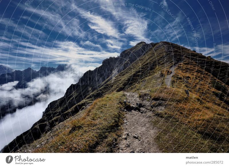 das ist ja der Gipfel Landschaft Pflanze Himmel Wolken Sonne Herbst Wetter Schönes Wetter Nebel Gras Moos Felsen Berge u. Gebirge blau braun grün erhaben