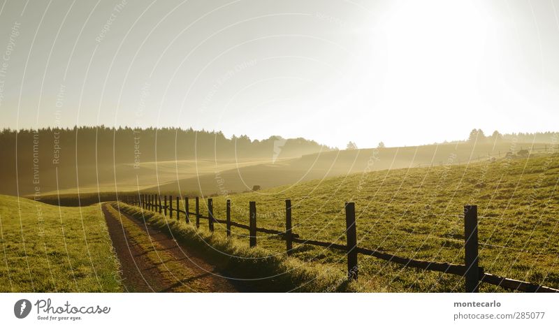 glücklich | den morgen erleben... Umwelt Natur Landschaft Himmel Wolkenloser Himmel Horizont Sonne Sonnenaufgang Sonnenuntergang Sonnenlicht Herbst Wetter