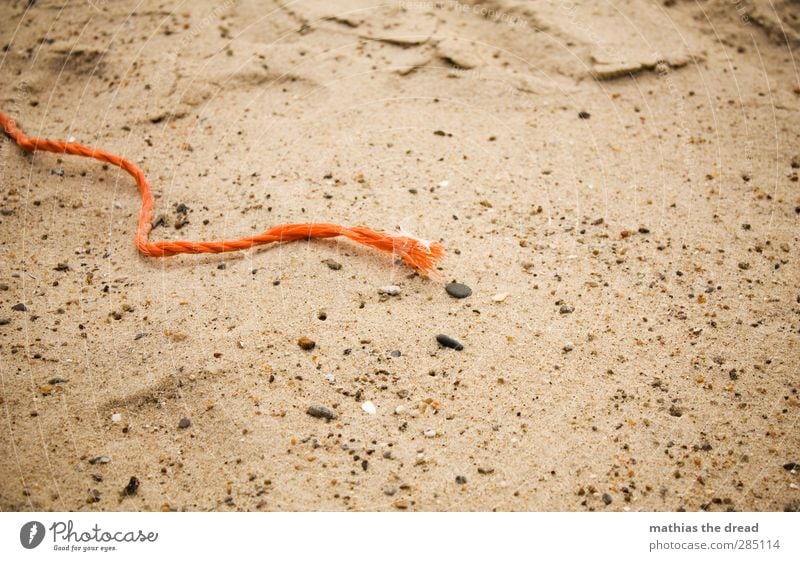 STRANDGUT Sand Küste Strand Umweltverschmutzung Schnur Seil Kunststoff orange Detailaufnahme bewegungslos Stillleben Angespült Müll Farbfoto mehrfarbig