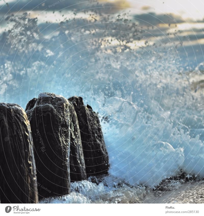 unbändige Nordsee Ferien & Urlaub & Reisen Ferne Meer Insel Wellen Umwelt Natur Urelemente Wasser Wassertropfen Klima Klimawandel Sturm Küste Strand Holz