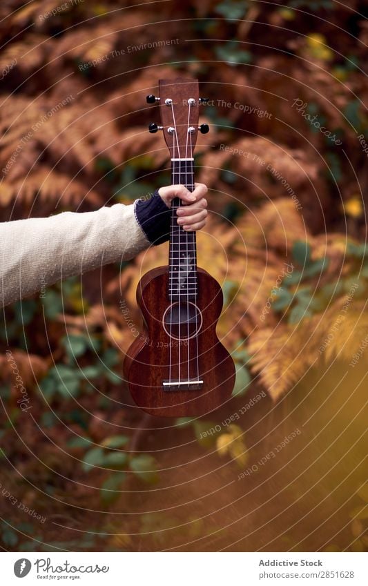 Hand mit Ukulele im Wald Gitarre klein Musik Natur akustisch Instrument Musical Spielen Gitarrenspieler Länder Musiker Schnur schön Holz klassisch romantisch