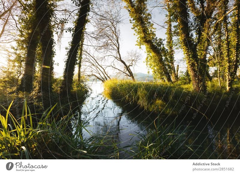 See-Banyolen Banylle grün: Bäume Wasser Katalonien Girona Natur Landschaft lestany Pla blau Herbst Spanien Himmel Erholung Wald Frieden Reflexion & Spiegelung