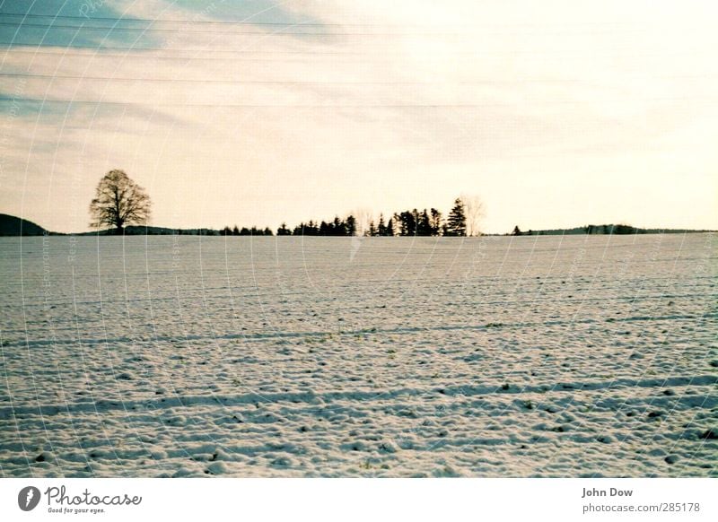 Winter Landschaft Himmel Horizont Eis Frost Schnee Baum Sträucher Wiese Feld kalt Schneelandschaft Schneedecke Winterschlaf Wintermorgen Winterstimmung Ferne