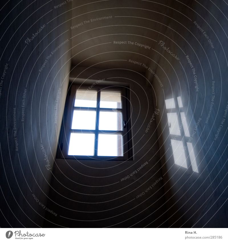 FensterLicht Bauwerk Gebäude Architektur Mauer Wand dunkel Fensterkreuz Treppenhaus Gedeckte Farben Innenaufnahme Menschenleer Schatten Lichterscheinung