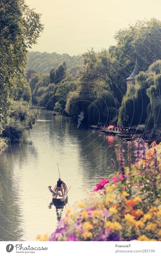 Tübingen Ferien & Urlaub & Reisen Tourismus Ausflug Sightseeing Städtereise Sommer Sonne Natur Landschaft Wasser Schönes Wetter Baum Blume Blüte Park Fluss