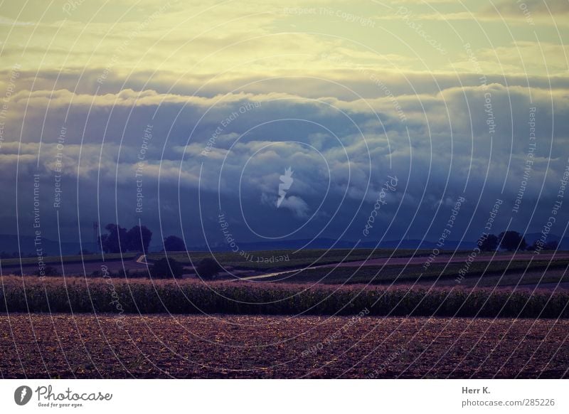 Dawn Wave Landschaft Himmel Wolken Gewitterwolken Horizont Herbst schlechtes Wetter Feld Hügel ästhetisch ruhig Stimmung Gedeckte Farben Außenaufnahme