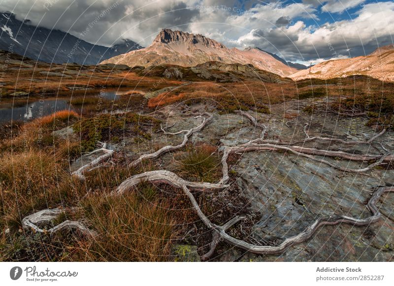 Pan du Lac, La Vampose, Französische Alpen Berge u. Gebirge Landschaft Natur Schweizer Gipfel See Europa Sommer Aussicht Eis blau Wasser Panorama (Bildformat)