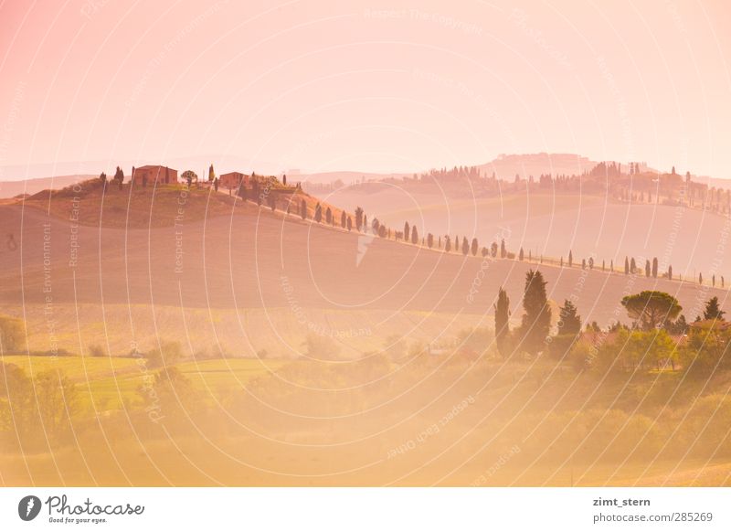 dreaming in tuscany Ferien & Urlaub & Reisen Tourismus Ausflug Ferne Toskana Italien Kunst Kunstwerk Gemälde Natur Landschaft Sonnenaufgang Sonnenuntergang