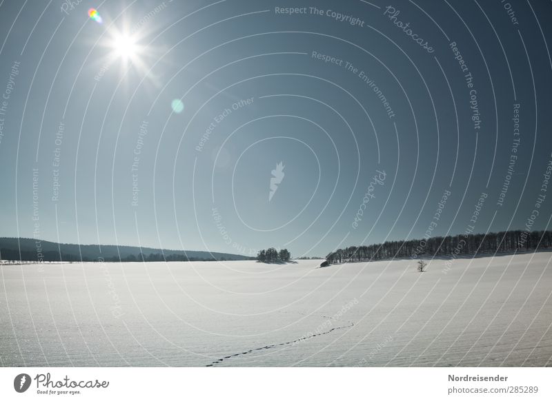 Wintersonne Freiheit Schnee Winterurlaub wandern Sonne Schönes Wetter Wald Fährte Erholung glänzend frei frisch blau weiß Vorfreude ruhig Einsamkeit erleben