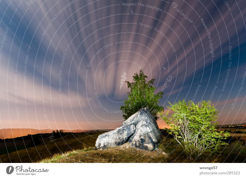 Inmitten der Nacht Natur Landschaft Himmel Wolken Nachthimmel Stern Horizont Sommer Baum Gras Sträucher Hügel Felsen Berge u. Gebirge Harz blau braun grün