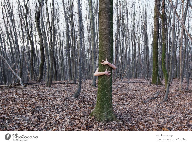 Natur genießen Ausflug Abenteuer Safari Expedition Hand Finger 1 Mensch Umwelt Pflanze Erde Frühling Herbst Baum Wald atmen berühren Denken Kommunizieren Liebe