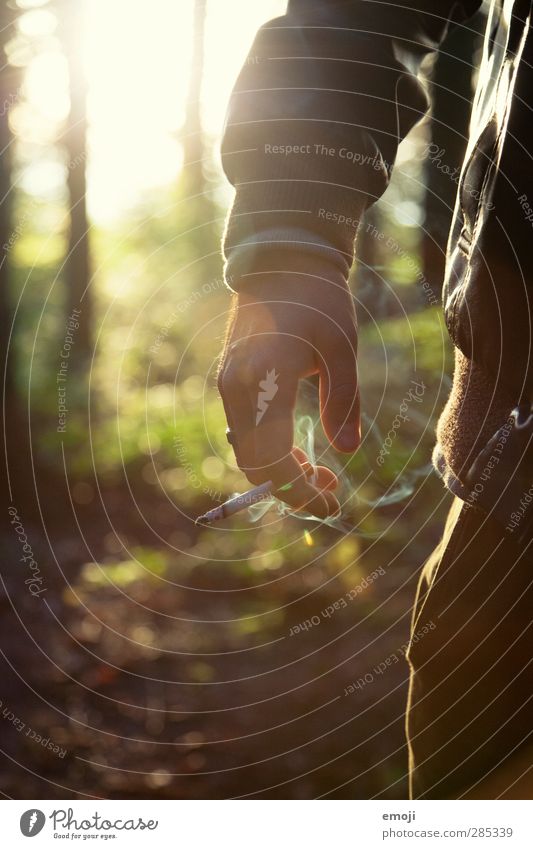 Qualm maskulin Junger Mann Jugendliche Hand 1 Mensch 18-30 Jahre Erwachsene Umwelt Natur Wald einzigartig Zigarette Rauch Farbfoto Außenaufnahme Nahaufnahme