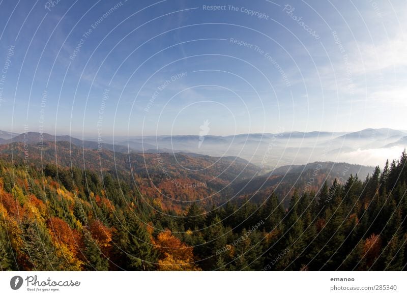 Schwarzwald Ferien & Urlaub & Reisen Tourismus Ausflug Expedition Berge u. Gebirge wandern Umwelt Natur Landschaft Pflanze Himmel Herbst Klima Wetter Nebel Baum