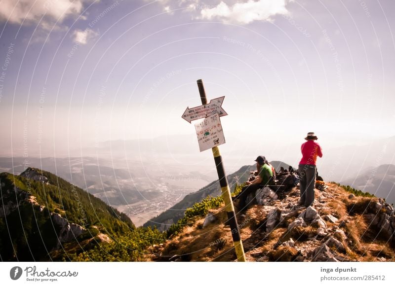 Höhenwanderweg Umwelt Natur Landschaft Pflanze Sommer Klima Schönes Wetter Felsen Berge u. Gebirge Gipfel Siebenbürgen Rumänien Karpaten beobachten