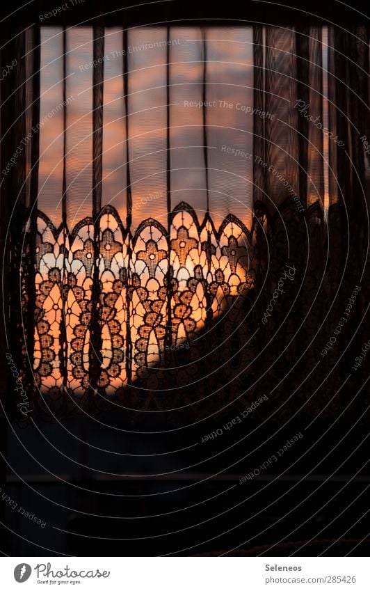 Vorhang zu Häusliches Leben Wohnung Innenarchitektur Dekoration & Verzierung Raum Fenster Gardine Stoff Natur Himmel Wolken natürlich Ornament Farbfoto