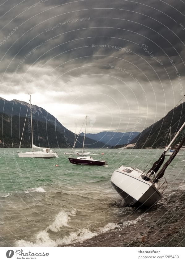 Fönsturm Segeln Abenteuer Wellen Berge u. Gebirge Segelboot Landschaft Wasser Himmel Wolken Gewitterwolken Unwetter Wind Sturm Alpen Seeufer Bucht Sportboot