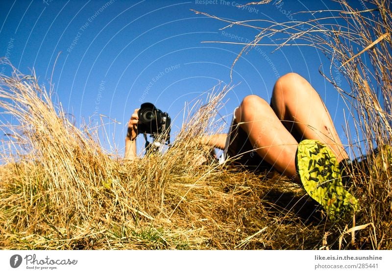 ein bett im kornfeld* Freizeit & Hobby androgyn Arme Hand Beine Fuß 1 Mensch Umwelt Natur Himmel Wolkenloser Himmel Sommer Herbst Schönes Wetter Sträucher Feld