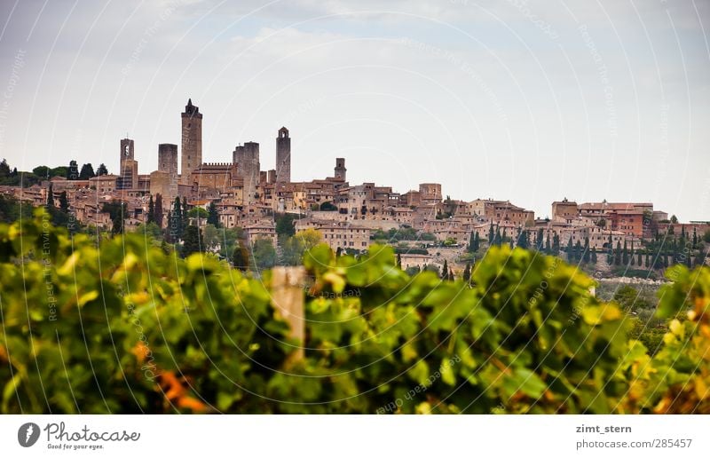 Weinberge vor S.G. Ferien & Urlaub & Reisen Tourismus Ausflug Ferne Natur Landschaft Himmel Herbst San Gimignano Toskana Italien Dorf Skyline Turm Gebäude