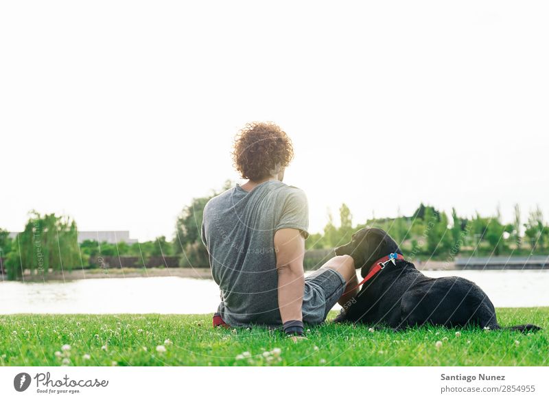 Der Mann hat Spaß mit seinem Hund. Haustier Park Besitzer Mensch grün anleinen laufen Tier Streicheln Glück Lifestyle Erwachsene Typ Himmel Sommer Kaukasier