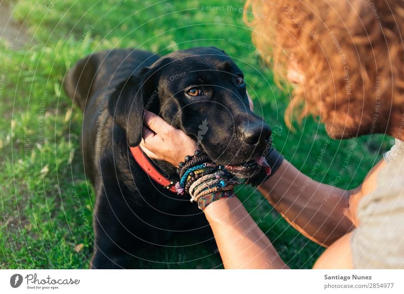 Der Mann hat Spaß mit seinem Hund. Haustier Park Besitzer Mensch grün anleinen laufen Tier rennen Glück Lifestyle Erwachsene Typ Sommer Kaukasier Freude Gras